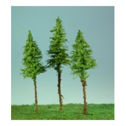 Jehličnatý strom sis - vyšší kmen (výška koruny cca 7cm)